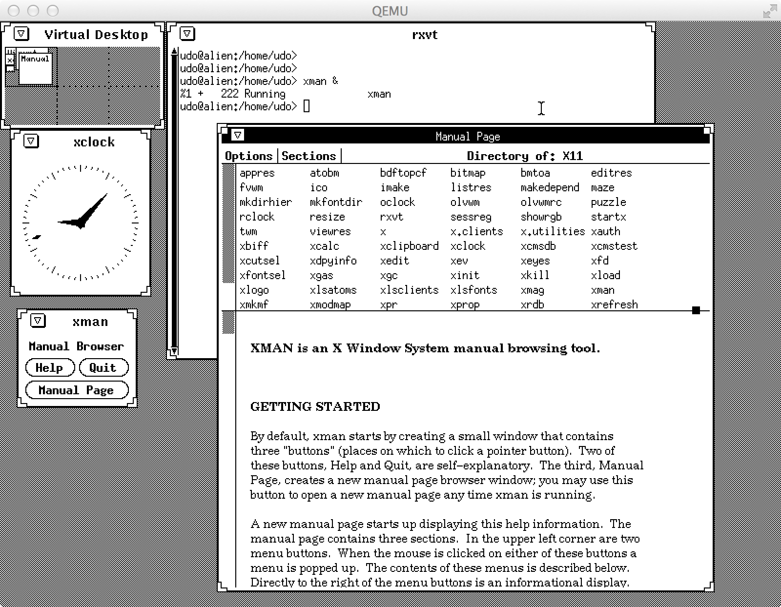 X11 QEMU